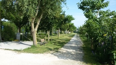 Camping Cavallino-Treporti