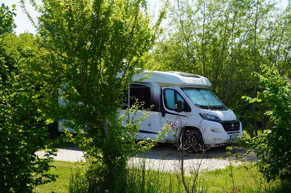 Camping Ellemeet (Brouwersdam)