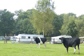 Camping Oisterwijk