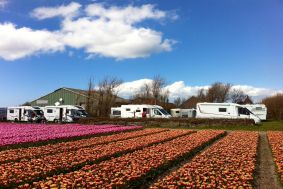 Camping Julianadorp aan Zee