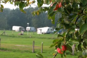 Camping De Lutte