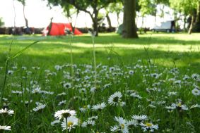 Camping Schildwolde