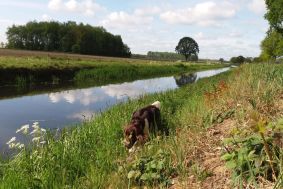 Camping Sambeek