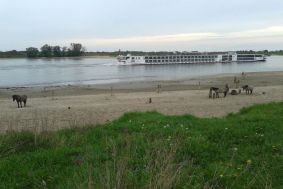 Camping Millingen aan de Rijn
