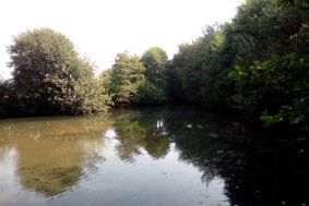 Camping Stieltjeskanaal